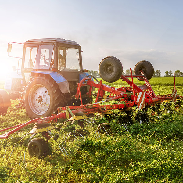 Grasas para Industrias Agro Alimentarias